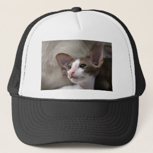 Siamese Kitten med stort öron Truckerkeps