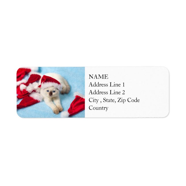 Siamese Kitten: Santa Hats Returadress Etikett (Framsidan)