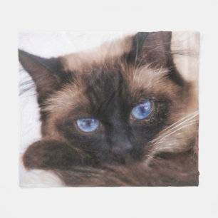 Siamese Kitten Sönnos Ansikte Fleece Blanket