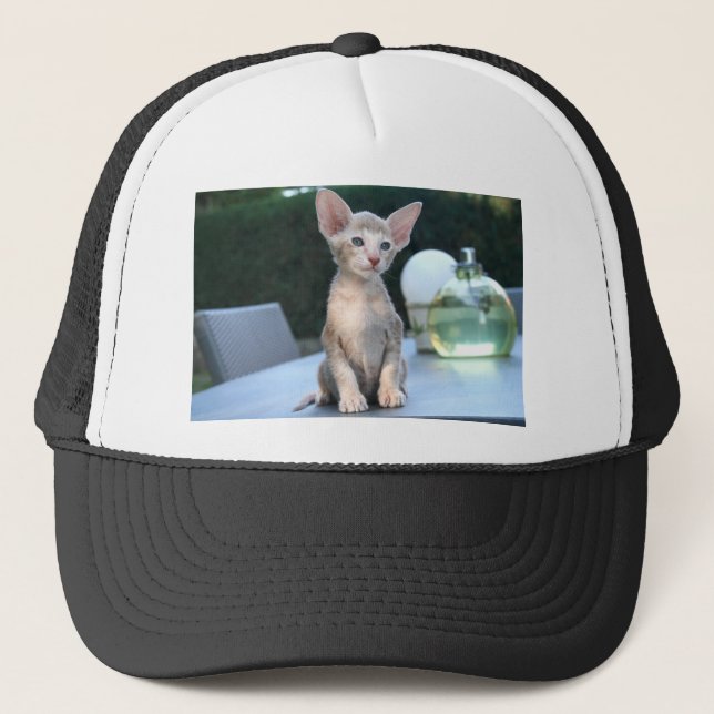 Siamese Kitten vid bord Keps (Framsida)