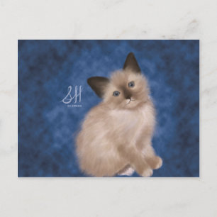 Siamese Kitten Vykort