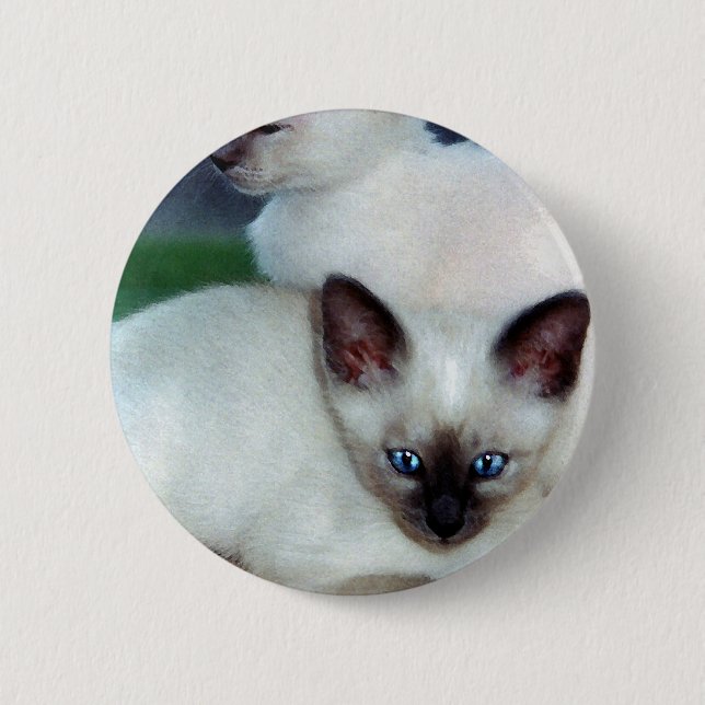 Siamese Kittens Button Knapp (Framsida)