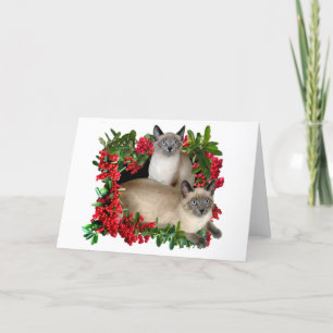Siamese Kittens in Berry Frame Helgkort