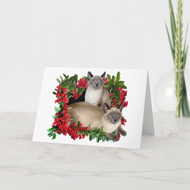 Siamese Kittens in Berry Frame Helgkort (Framsida)