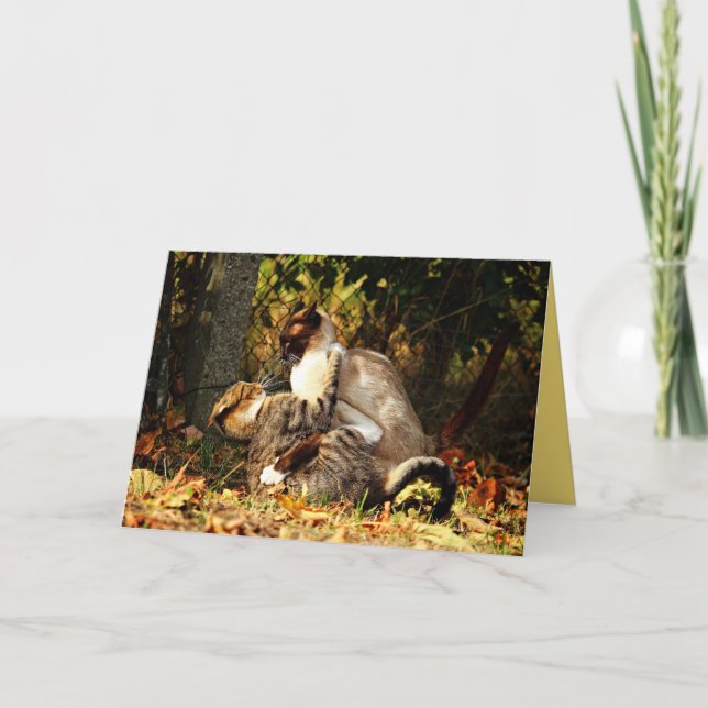 Siamese Kitty Katt Söt Anpassningsbar Kort (Framsida)