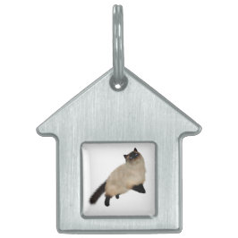 Siamese Long Hair Cat ID-bricka Husdjur