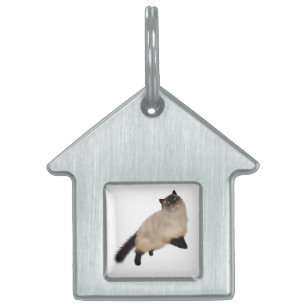 Siamese Long Hair Cat ID-bricka Husdjur