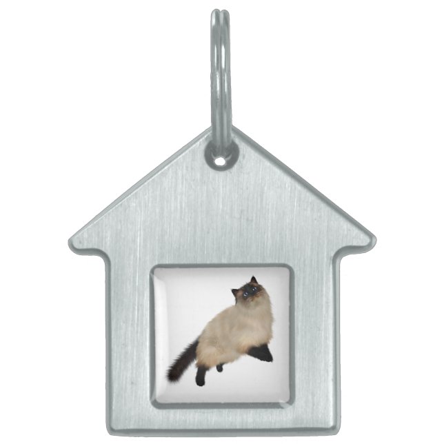 Siamese Long Hair Cat ID-bricka Husdjur (Framsidan)