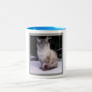 Siamese Maine för Himalayan Tabby Coon Två-Tonad Mugg