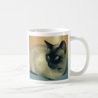 Siamese mugg