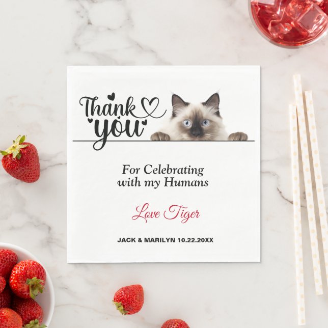 Siamese Peeking Cat Papper Napkins Pappersservett (Insitu)