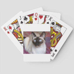 SIAMESE SKÖNHET KORTLEK