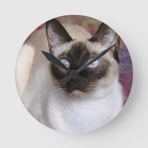 SIAMESE SKÖNHET RUND KLOCKA