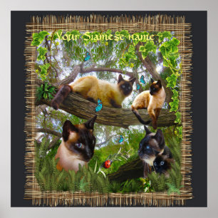 Siamese Sophie vår katt leker i trädgården Poster
