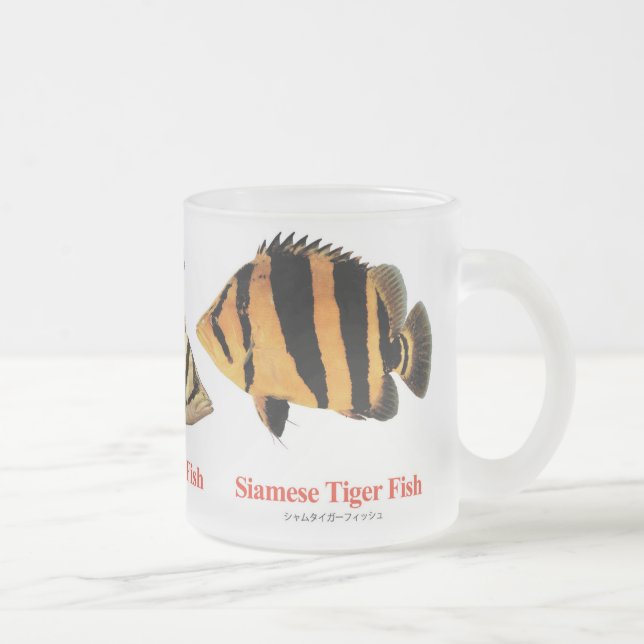 Siamese Tiger fish Frostad Glasmugg (Höger)