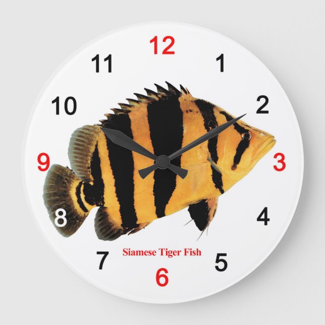 Siamese Tiger fish Stor Klocka (Framsida)