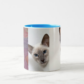 SIAMESE Två-Tonad MUGG