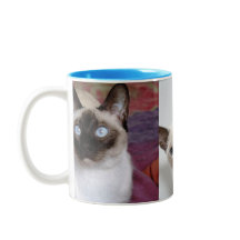 SIAMESE