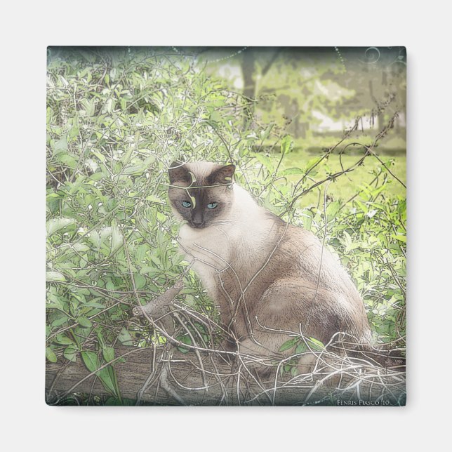 Siamese & Vines Magnet (Framsidan)