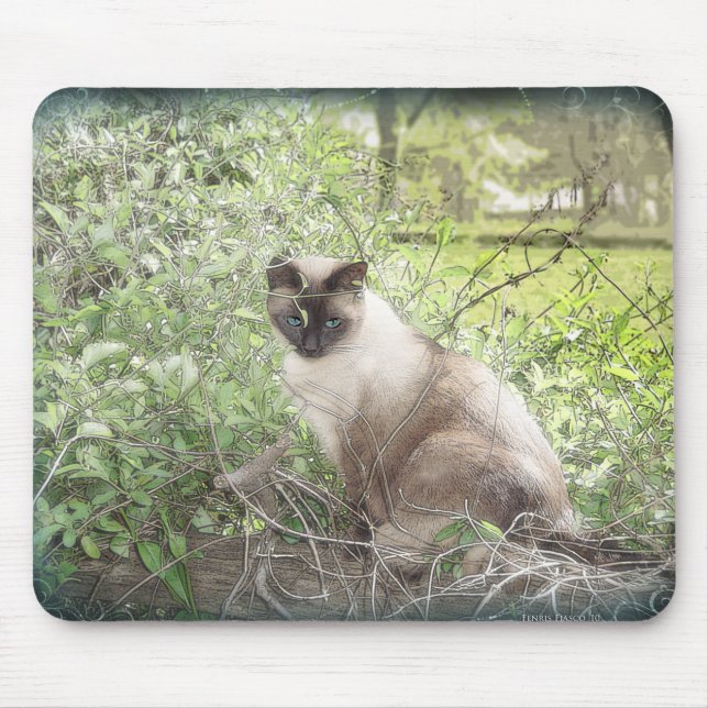 Siamese & Vines Musmatta (Framsidan)
