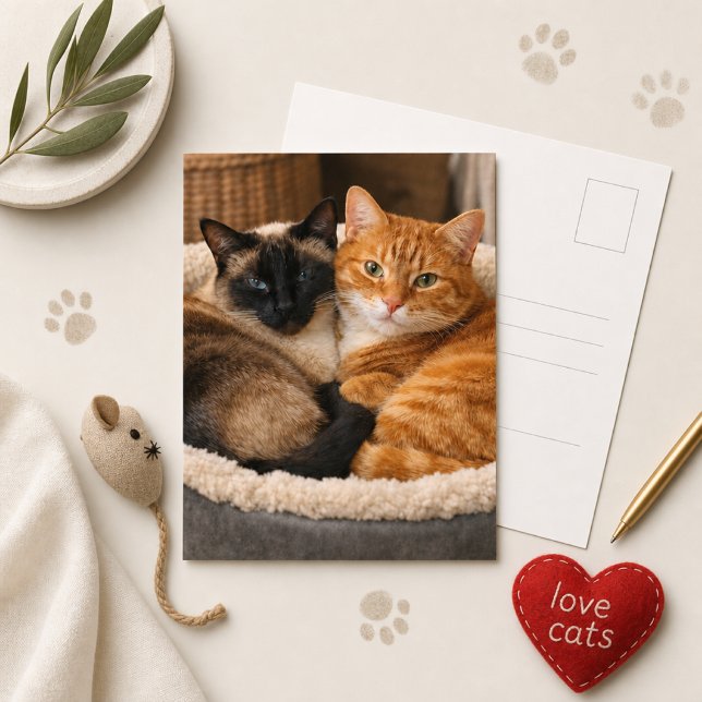 Siameser och Ginger söta katter  Vykort (Skapare uppladdad)