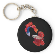 Siamesisk Fighting Fish