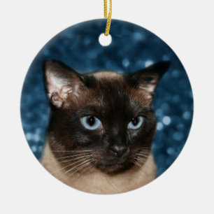 Siamesisk katt ansikte julgransprydnad keramik