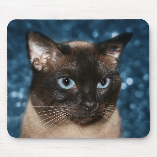 Siamesisk katt ansikte musmatta (Framsidan)