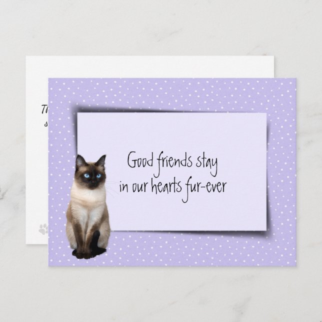 Siamesisk katt Förlust av husdjur från veterinär Vykort (Fram/baksida)