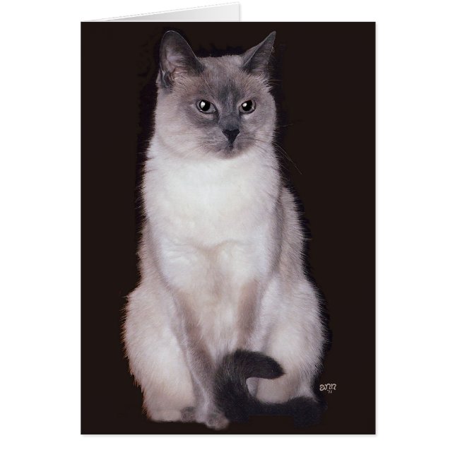 Siamesisk katt hälsningskort (Framsidan)