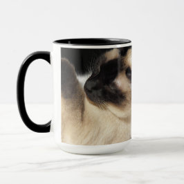 Siamesisk Katt Husdjur Kattljud Mjao Kattunge Öde Mugg