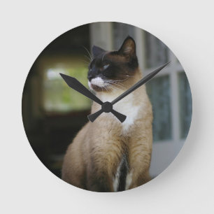 Siamesisk katt i Porch Rund Klocka