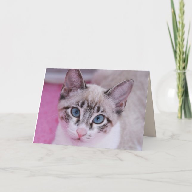 SIAMESISK KATT KATTUNGE FÖDELSEDAG GRATTIS-KORT KORT (Framsida)