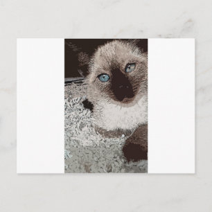 Siamesisk katt kattunge husdjur djur vän familj ko vykort