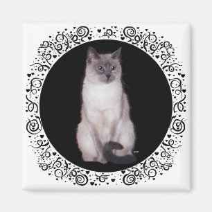 Siamesisk katt magnet