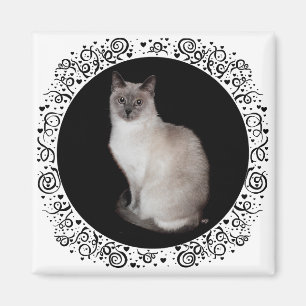 Siamesisk katt magnet