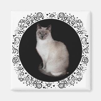 Siamesisk katt magnet