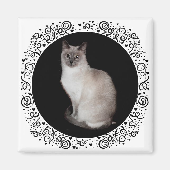 Siamesisk katt magnet (Framsidan)