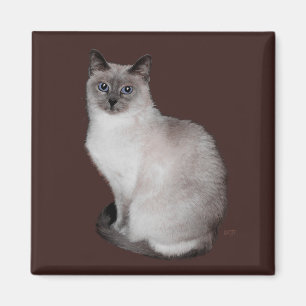 Siamesisk katt med blå ögon magnet