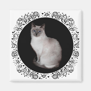 Siamesisk katt med blå ögon magnet