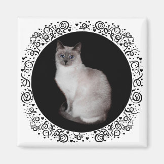 Siamesisk katt med blå ögon magnet