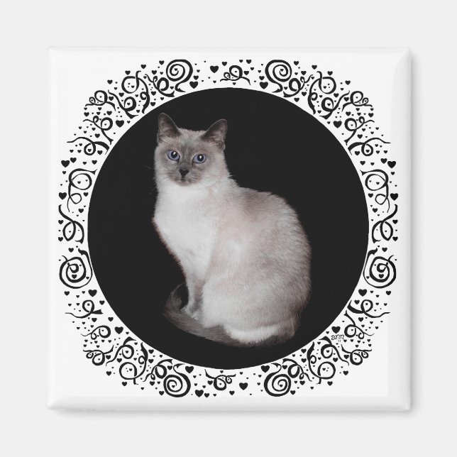 Siamesisk katt med blå ögon magnet (Framsidan)