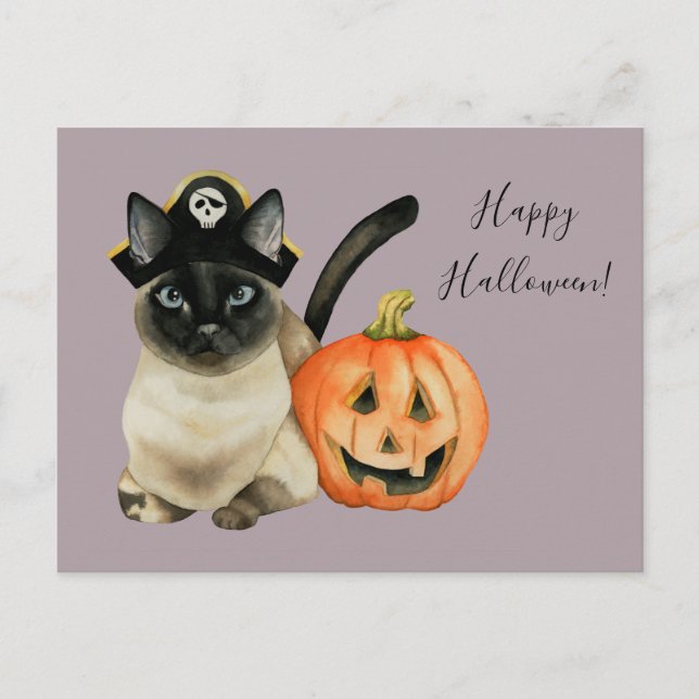 Siamesisk katt med Pirat Hat | Happy halloween Vykort (Framsida)