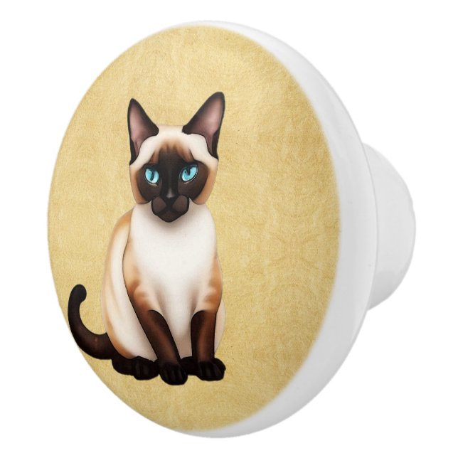 Siamesisk katt på gammalt papper knopp (Höger)