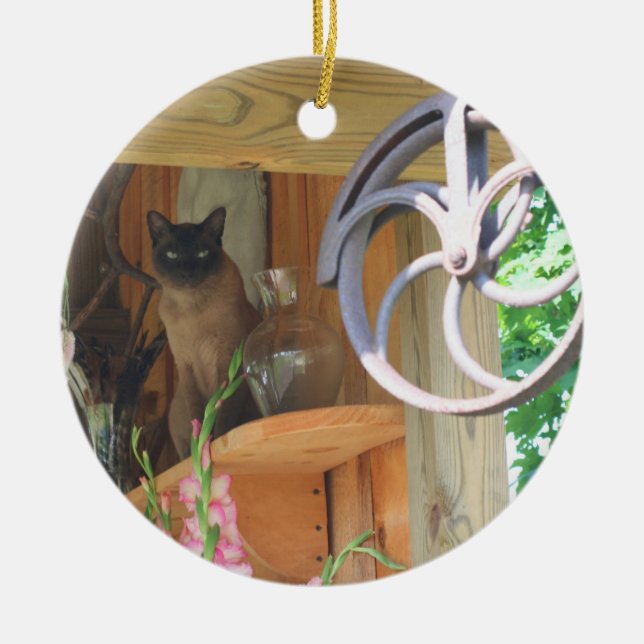 Siamesisk katt på hyllan Ornament från djur (Framsidan)