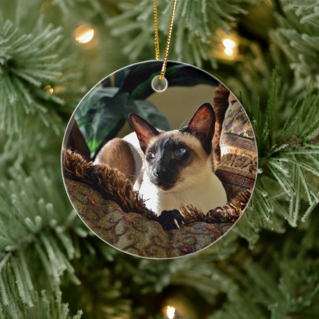 Siamesisk katt på komprimerande beläggning julgransprydnad keramik (Träd)