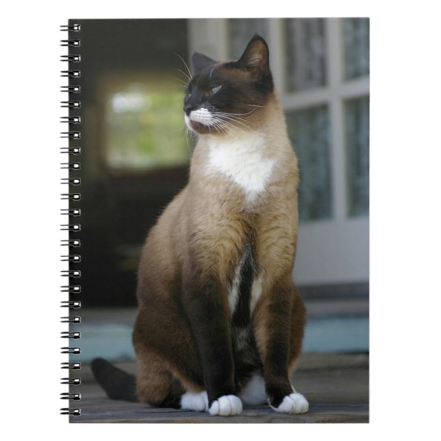 Siamesisk katt på porten anteckningsbok (Framsidan)