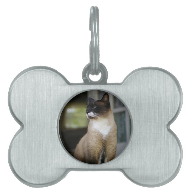 Siamesisk katt på porten ID-bricka husdjur (Framsidan)