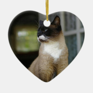 Siamesisk katt på porten julgransprydnad keramik