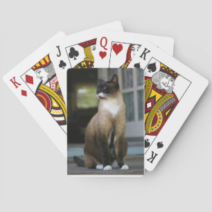 Siamesisk katt på porten spelkort